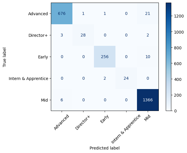 google-job-level-classification-cm